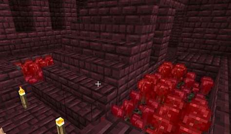 How to build a nether wart farm in Minecraft