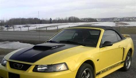 2003 Ford Mustang - Other Pictures - CarGurus