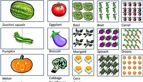 vegetable garden spacing chart