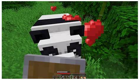 I found pandas!! - Minecraft Part 10 - YouTube