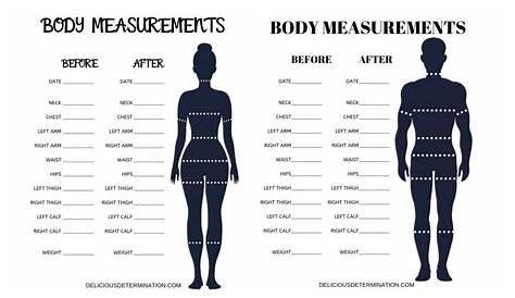 male body chart pdf