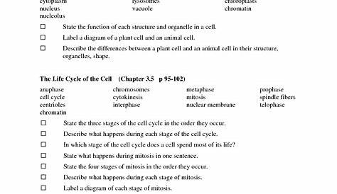 13 Best Images of 7th Grade Life Science Worksheets - Free 7th Grade