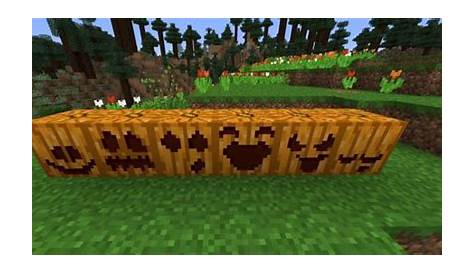 what can you do with pumpkins in minecraft