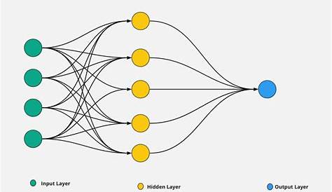 Introduction to Neural Networks Basics
