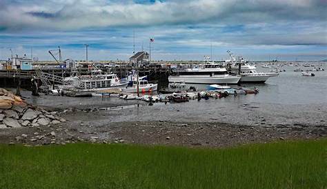 Joe's Retirement Blog: Low Tide, Plymouth Harbor, Plymouth