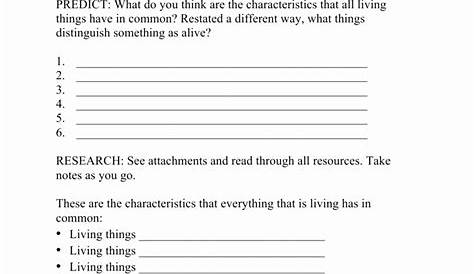 human characteristics worksheet answers