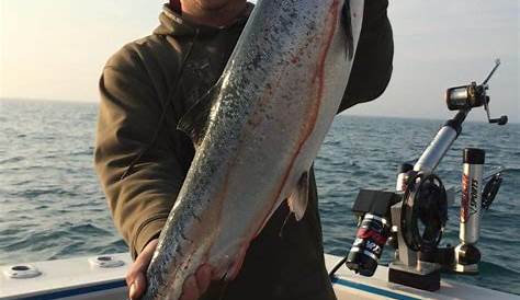 lake-michigan-charter-fishing-44 - Gold Coast Fishing Company