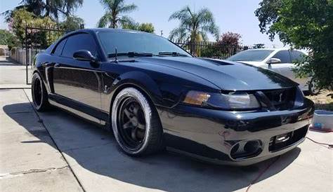 2004 ford mustang terminator