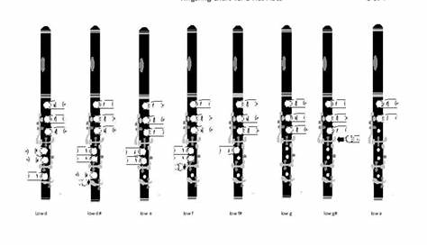 (PDF) Finger Chart for Bb 5 key Flute | Stuart Boyd - Academia.edu