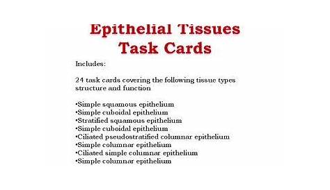 Name This Tissue Type Answer Key