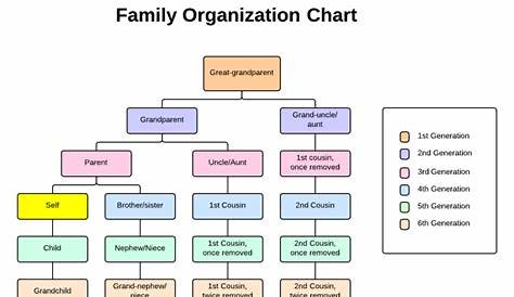 4 Online Tools for Planning Your Family Reunion | Lucidchart Blog