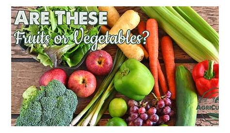 What's the Difference Between Fruits and Vegetables? - My Fearless Kitchen