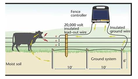 Electric Cattle Fence Diagram