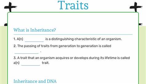 genetic traits worksheet 7th grade