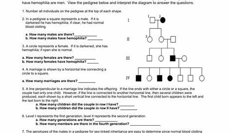 Answer Key Pedigree Worksheet : pdf - pedigree worksheet | Genotype