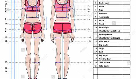 women's body chart