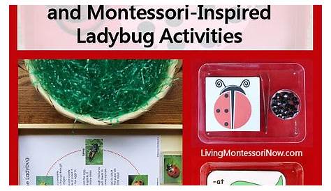 Free Ladybug Printables and Montessori-Inspired Ladybug Activities