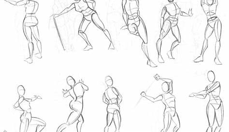 Simple Anatomy Drawing at GetDrawings | Free download