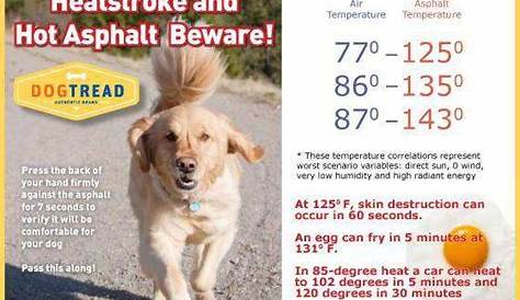 asphalt temperature chart for dogs