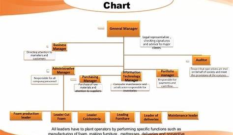 what does an organization chart show