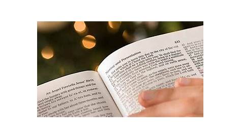 25 Free Printable Bible Study Lessons with Questions and Answers PDF