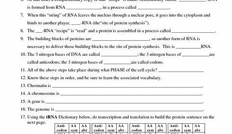 17 Best Images of DNA Mutations Practice Worksheet Page 2 - DNA