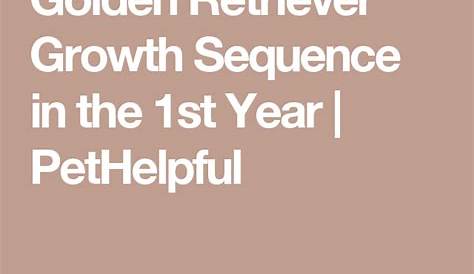 growth chart golden retriever