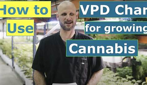 Using a cannabis-specific VPD Chart for Flowering & Veg