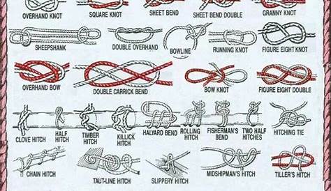 basic knots pdf