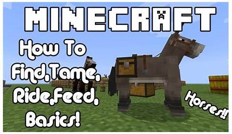 how do you feed horses in minecraft