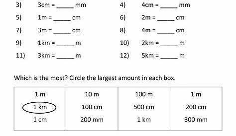 measurement worksheet for students
