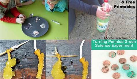 15+ Science Projects for 5th Grade! - From Engineer to Stay at Home Mom