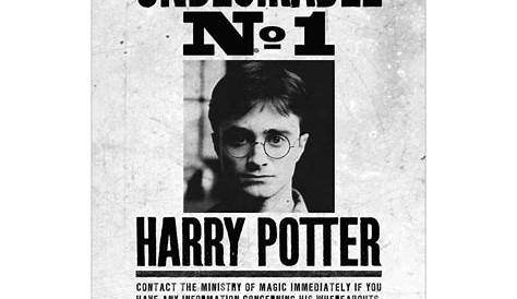 Wanted Posters - MinaLima | Harry potter wanted poster, Harry potter
