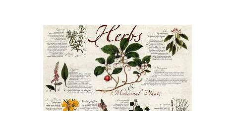 medicinal herb charts printable
