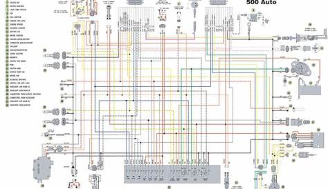 Wiring Schematic For 1998 Arctic Cat 500 Atv - Wiring Diagram Schemas