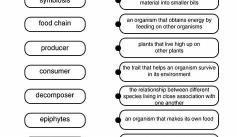 Matching Ecosystems Worksheet | Have Fun Teaching | Landforms worksheet