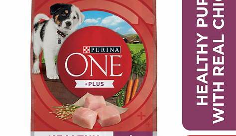 Purina ONE Natural, High Protein Dry Puppy Food, +Plus Healthy Puppy