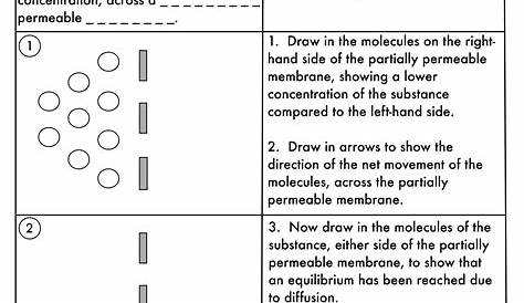 GCSE Biology: Diffusion, Osmosis and Active Transport Worksheet Pack