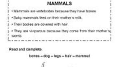 mammals worksheet for grade 2