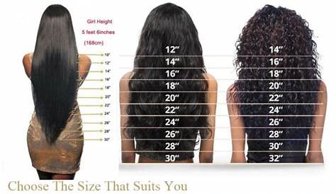hair length chart curly