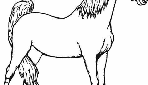 Horse Running Coloring Pages - Coloring Home