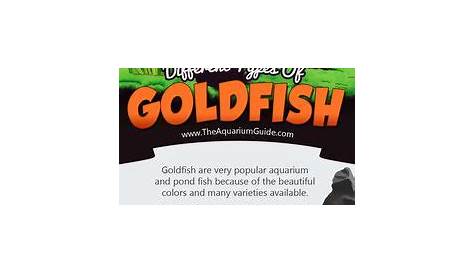 fish compatible with goldfish chart