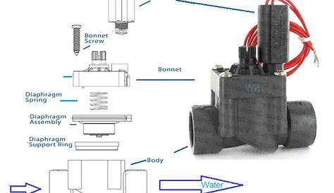 Parts of Sprinkler Valve: Diagram & Replacement Parts | Linquip