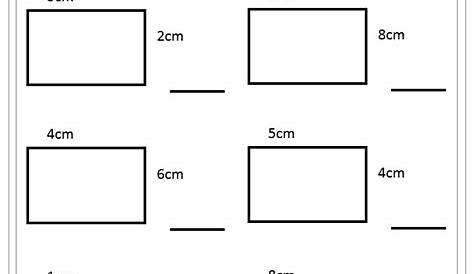 Work out the rectangle perimeter worksheet Area And Perimeter