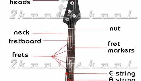 The Parts of an Electric Bass Guitar