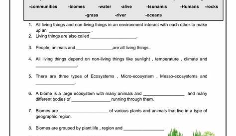 Ecosystems exercise Back To School Worksheets, Worksheets For Grade 3