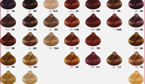 Loreal Inoa Colour Chart | Hair color shades, Loreal hair color, Brown