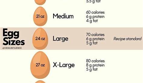 an egg sizes chart with eggs in the middle and two large ones on each side