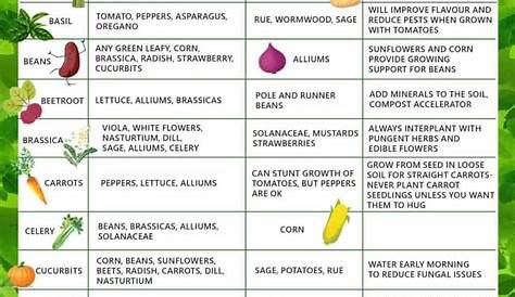 Collection of Companion Planting Charts, Guides, and PDFs | World Water