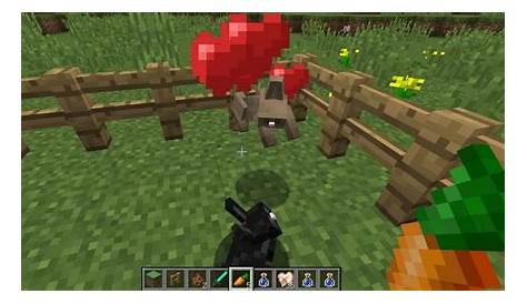 How To Breed Rabbits In Minecraft: The More The Better!